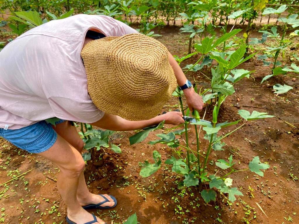 Moni Farm House Wilpattu Nochchiyagama Eksteriør bilde