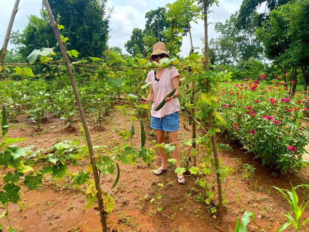 Moni Farm House Wilpattu Nochchiyagama Eksteriør bilde