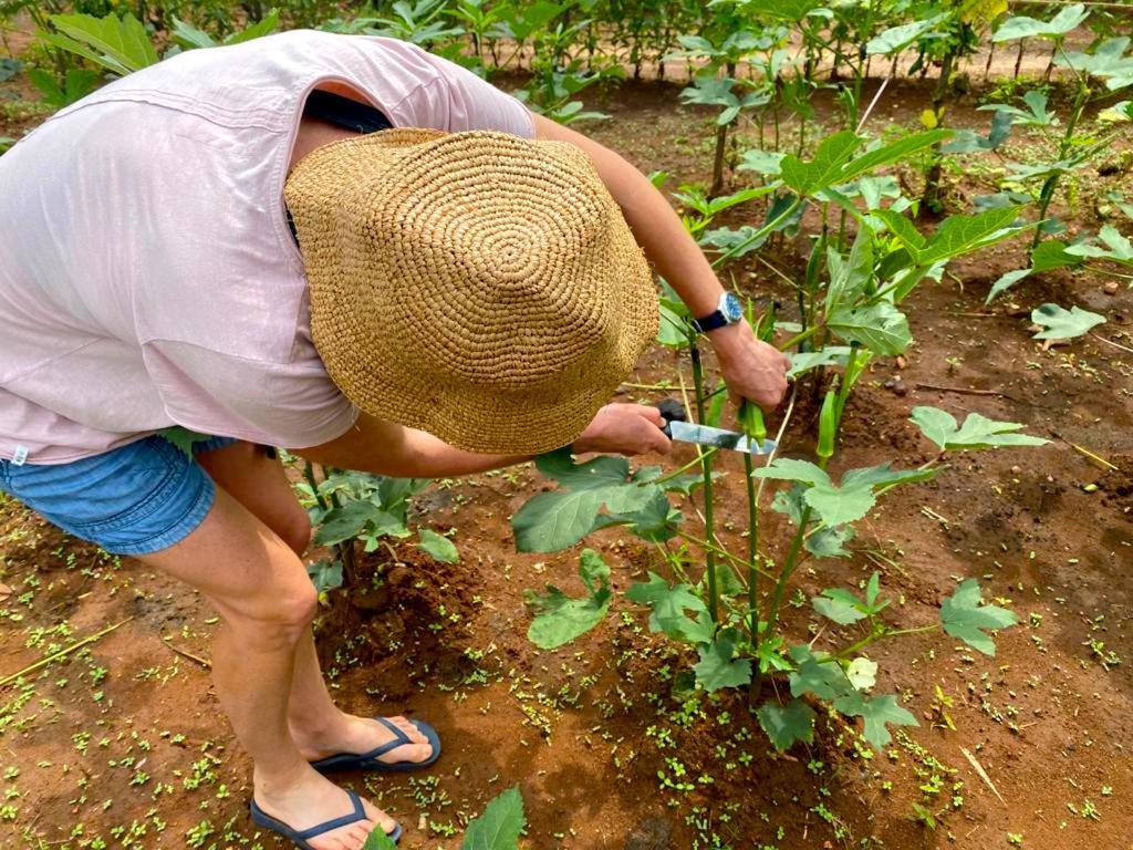 Moni Farm House Wilpattu Nochchiyagama Eksteriør bilde
