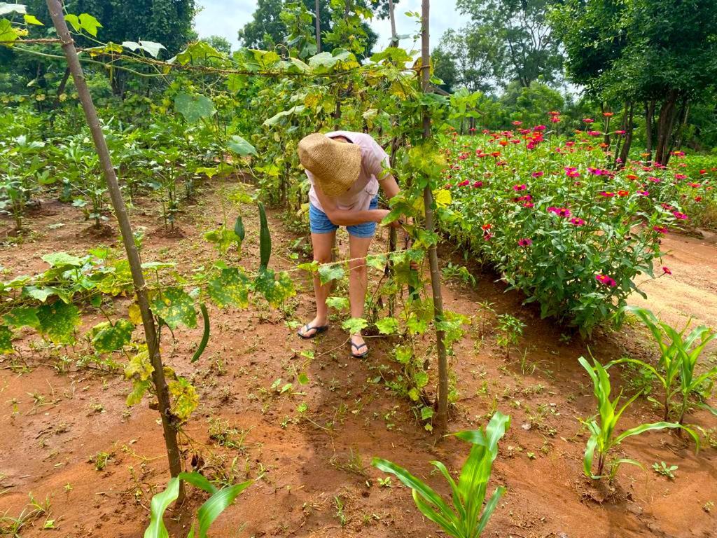 Moni Farm House Wilpattu Nochchiyagama Eksteriør bilde