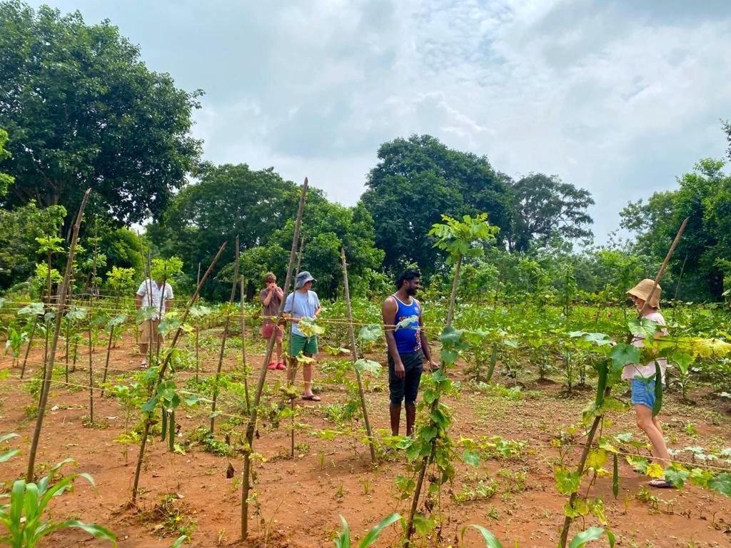 Moni Farm House Wilpattu Nochchiyagama Eksteriør bilde