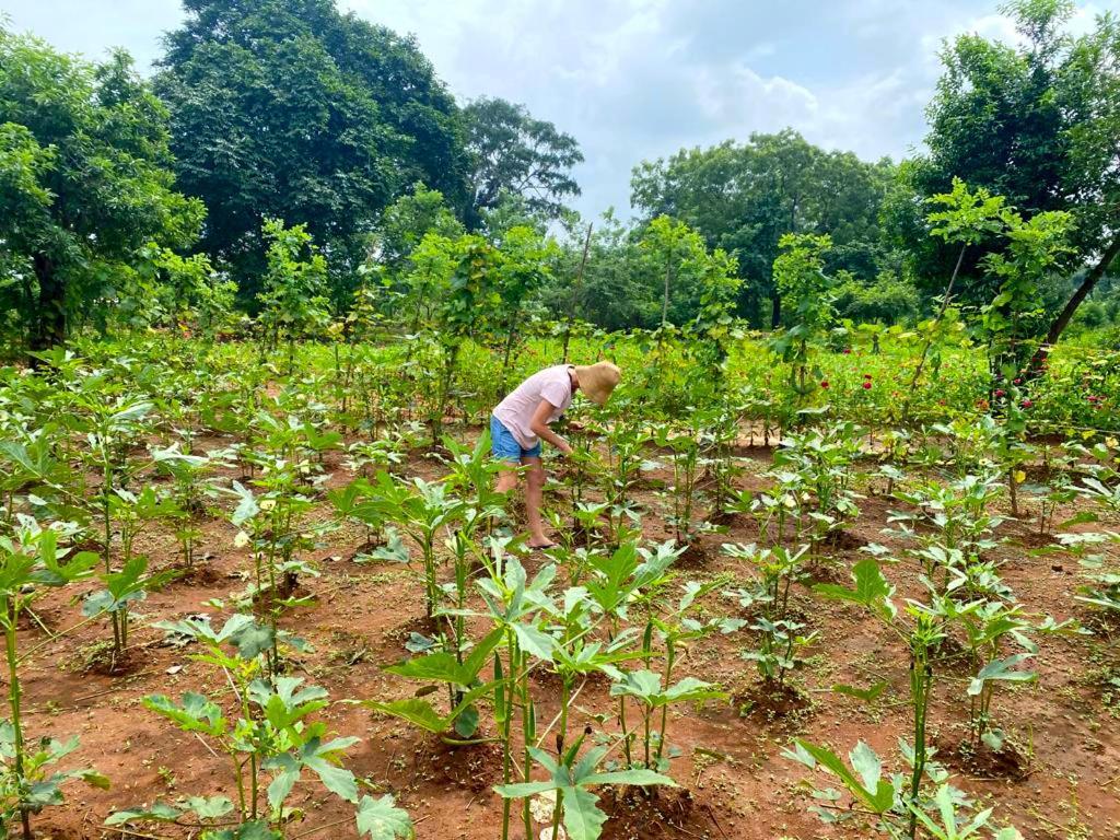 Moni Farm House Wilpattu Nochchiyagama Eksteriør bilde