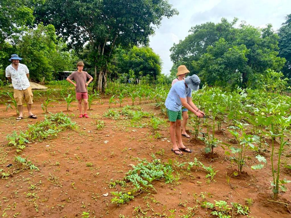 Moni Farm House Wilpattu Nochchiyagama Eksteriør bilde