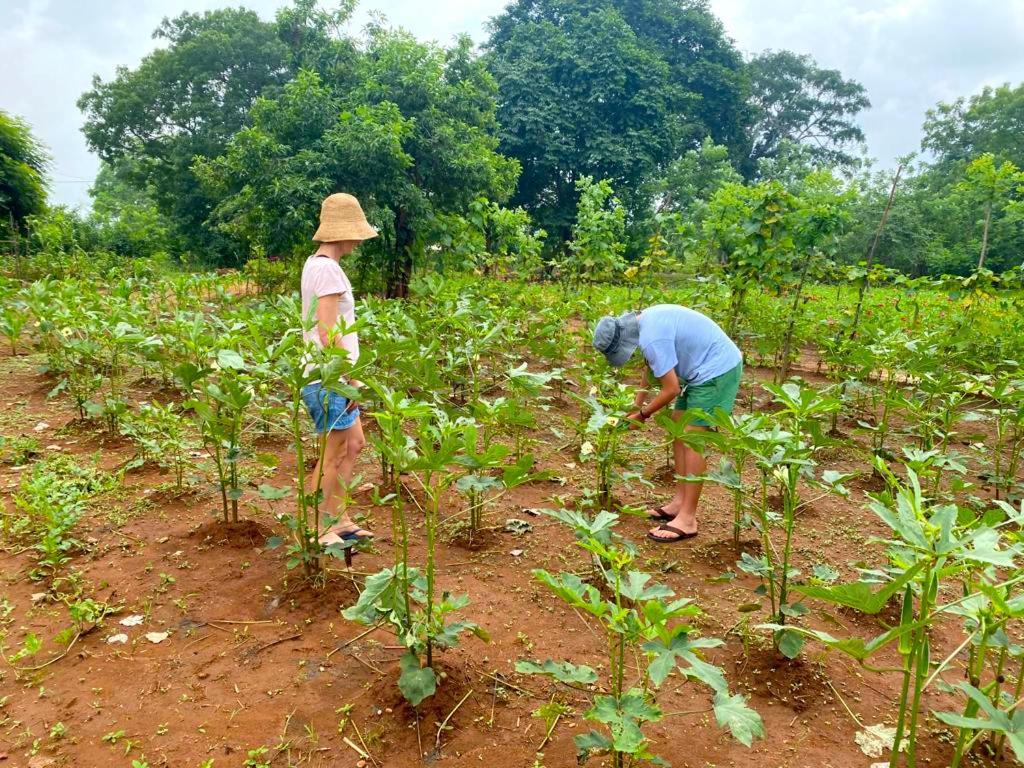 Moni Farm House Wilpattu Nochchiyagama Eksteriør bilde