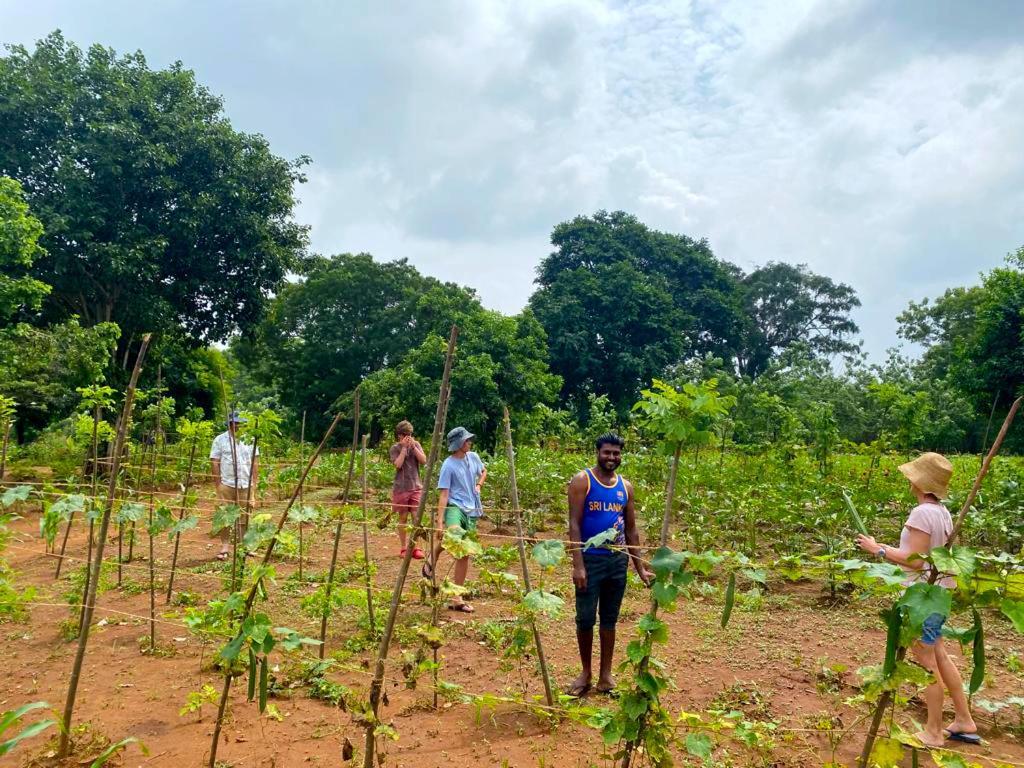 Moni Farm House Wilpattu Nochchiyagama Eksteriør bilde