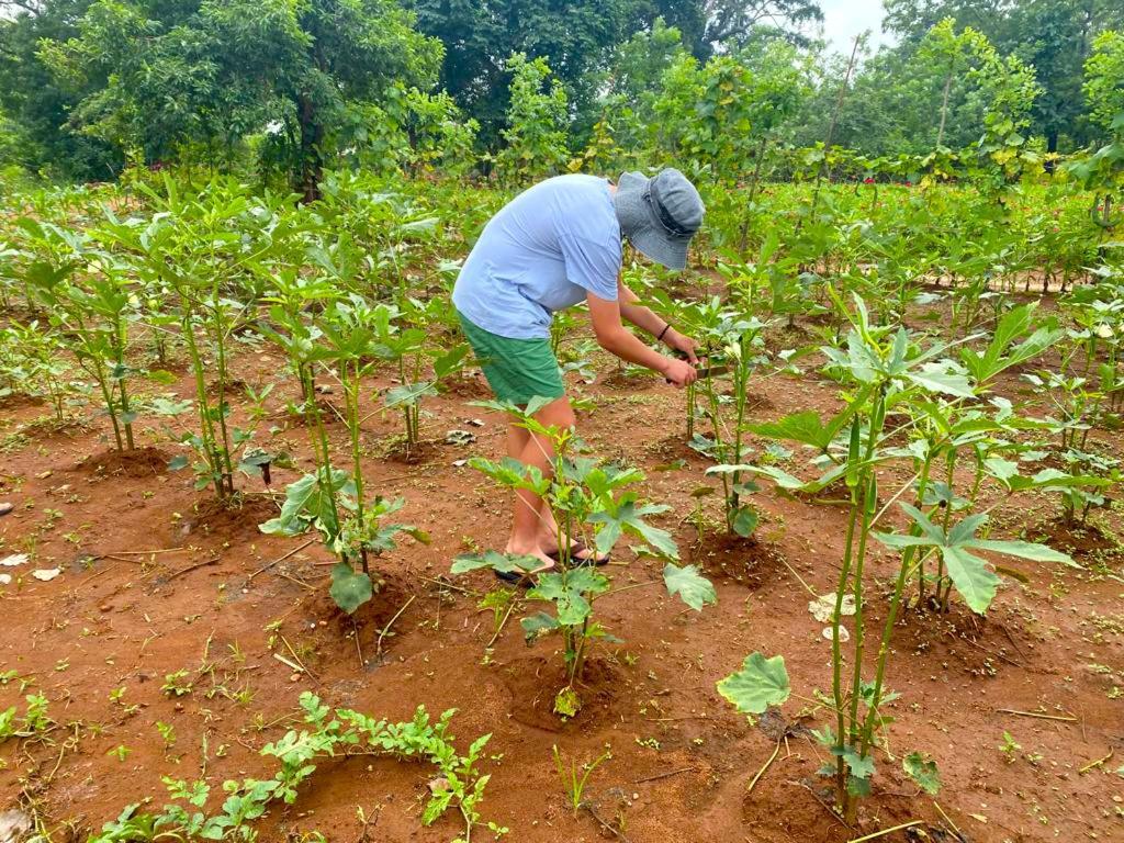 Moni Farm House Wilpattu Nochchiyagama Eksteriør bilde