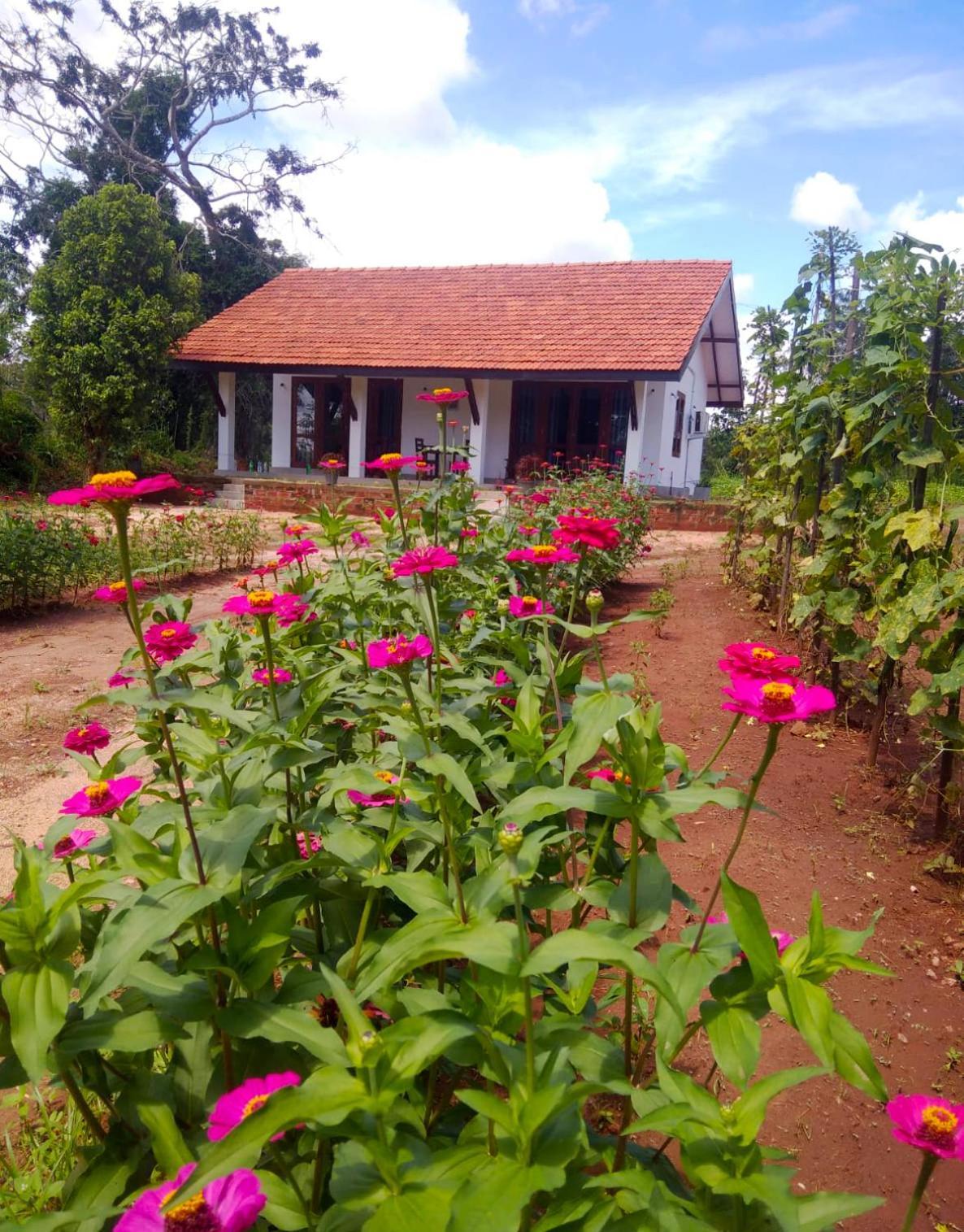 Moni Farm House Wilpattu Nochchiyagama Eksteriør bilde