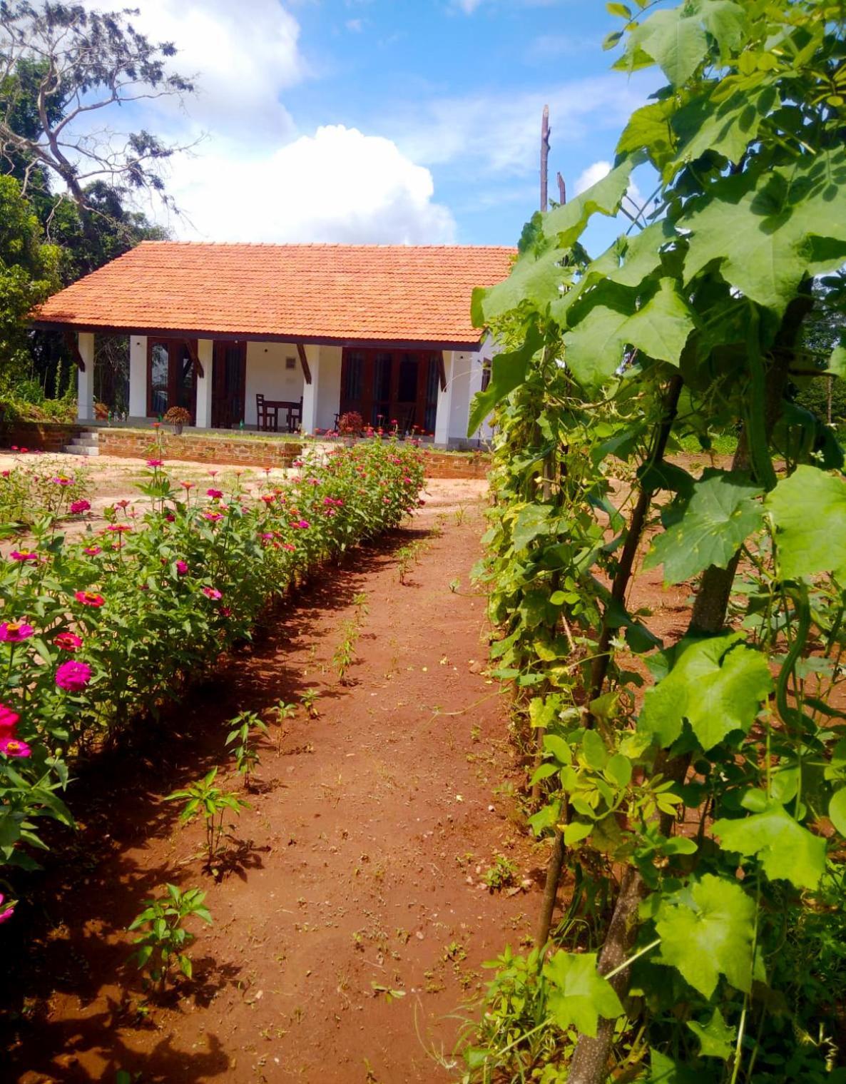 Moni Farm House Wilpattu Nochchiyagama Eksteriør bilde